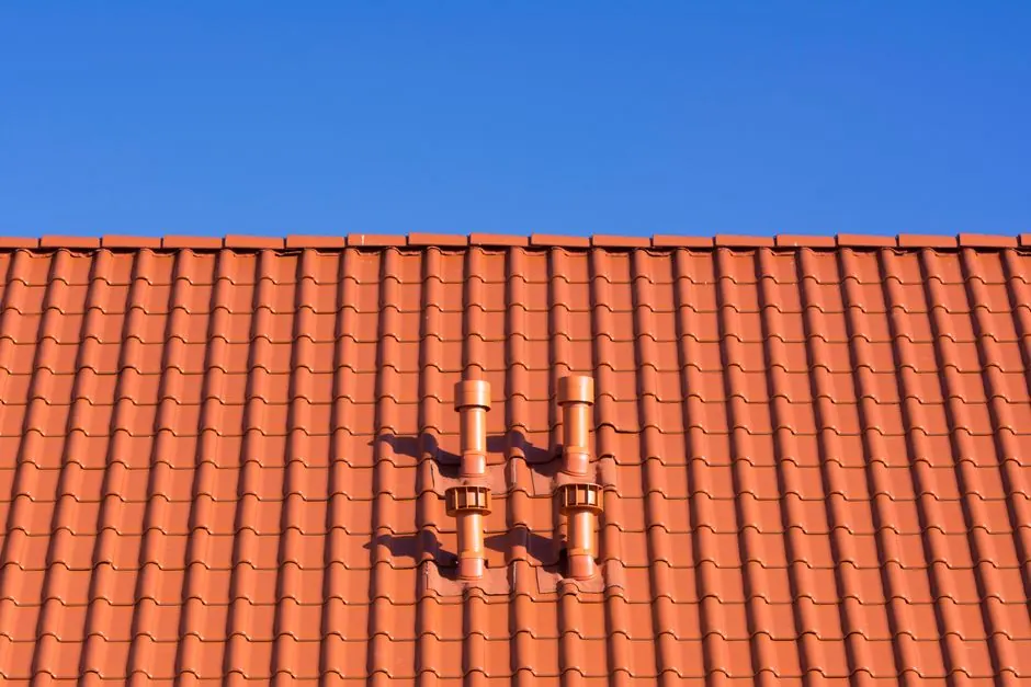 How Do Rats Get Into a House: Common Entry Points in Arcadia Homes